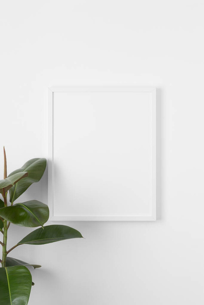 White frame mockup on the wall with a ficus plant. - Φωτογραφία, εικόνα