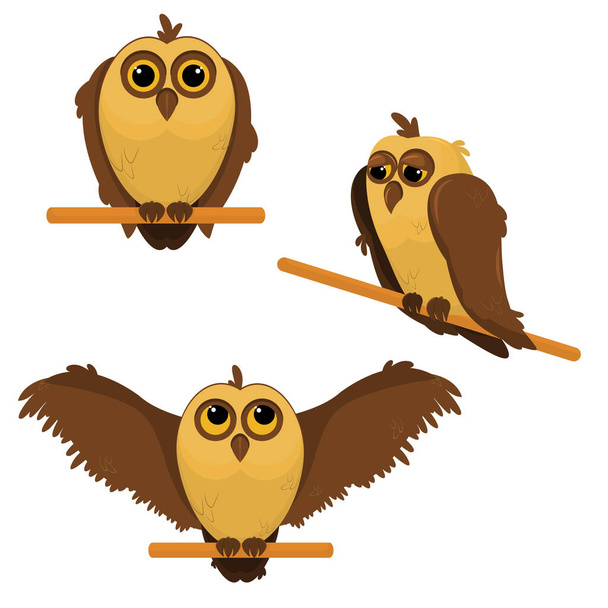  een verzameling vectorillustraties met uilen geïsoleerd op een witte achtergrond - Vector, afbeelding