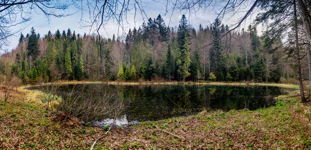 Polianytske lake in the forest in carpathian mountains, national park Skolivski beskidy, Lviv region of Western Ukraine - Fotoğraf, Görsel