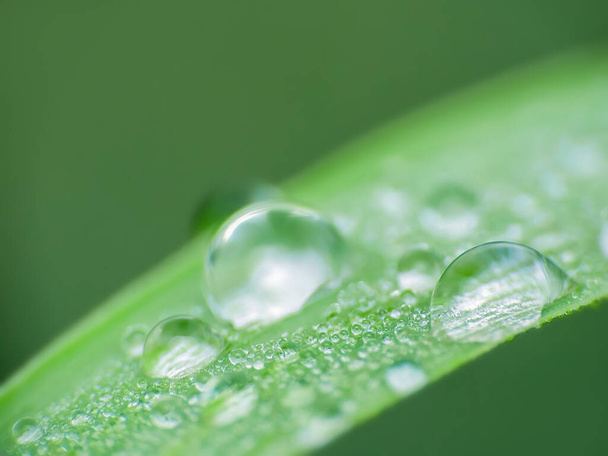A closeup shot of water droplets hanging on a green leaf on a blurred background - Fotografie, Obrázek