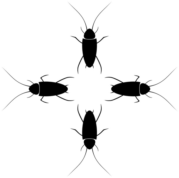 κατσαρίδες με διαφορετικές πλοκάμια - Διάνυσμα, εικόνα