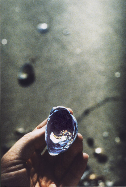 a closeup shot of a young man hand  with shell  - Fotó, kép