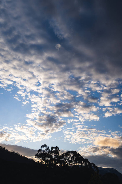 sunset cloud formation creating a V shape across the sky at dusk with eucalyptus gum trees and mountains silhouettes in the foregroud shot in winter in Australia - Foto, Imagem