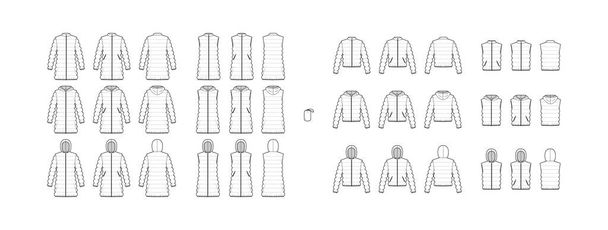 Набір вниз пальто жилети пуф талії технічної моди ілюстрація з мішечком, коміром стояти, zip-up закриття
 - Вектор, зображення