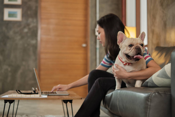 Evcil hayvan sevdalısı, serbest çalışan Asyalı tatlı bir kadın internetteki kablosuz internet üzerinden bilgisayarını kullanarak sevimli bir köpekle (Fransız Bulldog) mutlu bir şekilde yanında oturuyor.. - Fotoğraf, Görsel