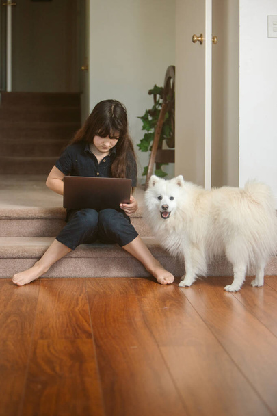 портрет милой девочки, занимающейся он-лайн обучением с помощью ноутбука, домашнего обучения, дистанционного обучения - Фото, изображение
