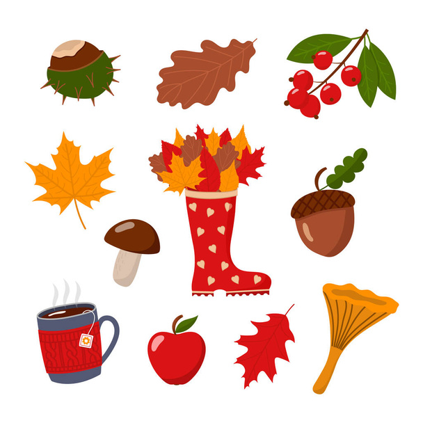 Set of cute autumn illustrations, fall collection, isolated flat vector illustrations on white background - Vector, Image