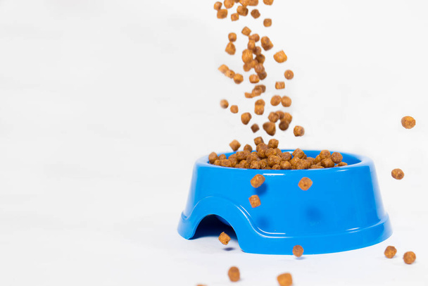Сухая пища для котят и кошек наливается в голубую тарелку. на белом с местом для текста. Сбалансированное питание, магазин для животных - Фото, изображение