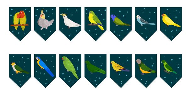 Vlajky věnce pro narozeninovou oslavu s tropickými ptáky na barevném tmavozeleném pozadí. Bunting wit lovebird cockatiel cockatoo macaw papoušci. - Vektor, obrázek