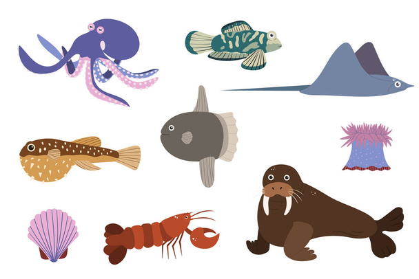 Sada mořských živočichů - chobotnice stringray mroží omar sunfish. Tisk obyvatel podmořského světa. - Vektor, obrázek