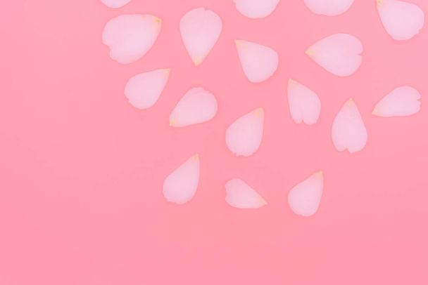 Some rose petals on a pink background - Φωτογραφία, εικόνα