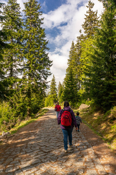 KARPACZ, POLAND - May 09, 2018: A back view of people hiking on the rocky pathway in the forest in Karpacz, Poland - Fotoğraf, Görsel