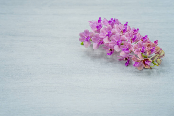 A bunch of pink Rhynchostylis orchids on a wooden background - Valokuva, kuva