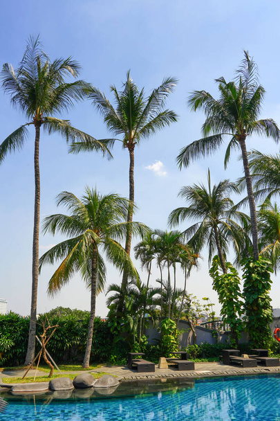 Ein heißer Sommertag mit Palmen und Swimmingpool unter strahlend klarem Himmel - Foto, Bild