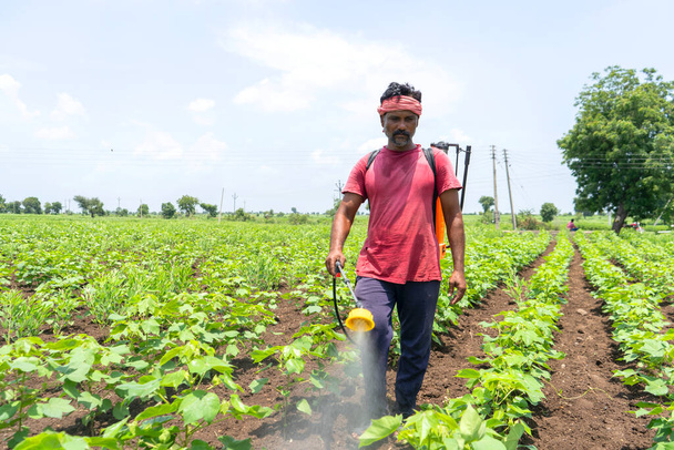 Pamutot peszticidekkel és gyomirtókkal permetező mezőgazdasági termelő - Fotó, kép