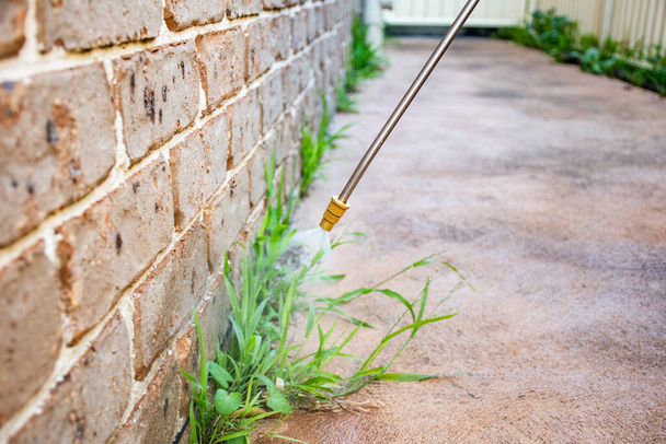 Pulverización herbicida herbicida herbicida para controlar las plantas no deseadas y la hierba en un patio trasero. Edificio exterior - Foto, imagen