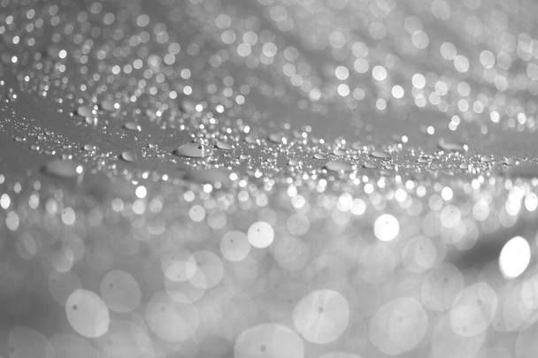 Abstract background of bokeh created by water droplets and blurred lenses. - Фото, зображення