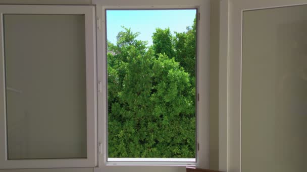 Vista desde la ventana al jardín - Imágenes, Vídeo