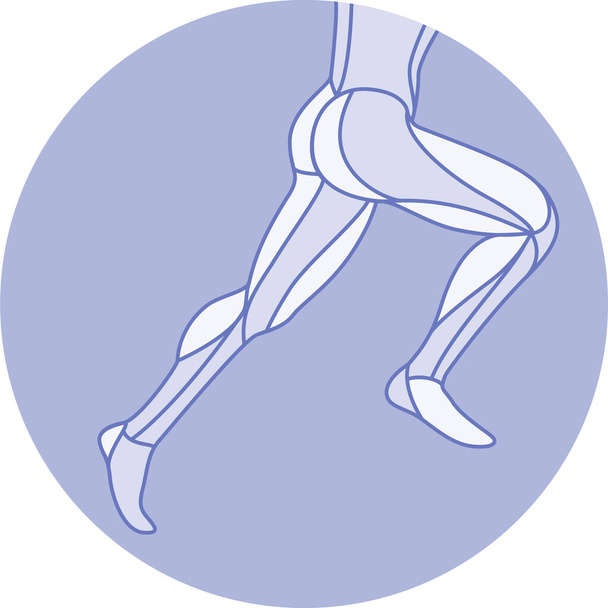 Běžící mužská anatomie postava póza se svaly - Vektor, obrázek