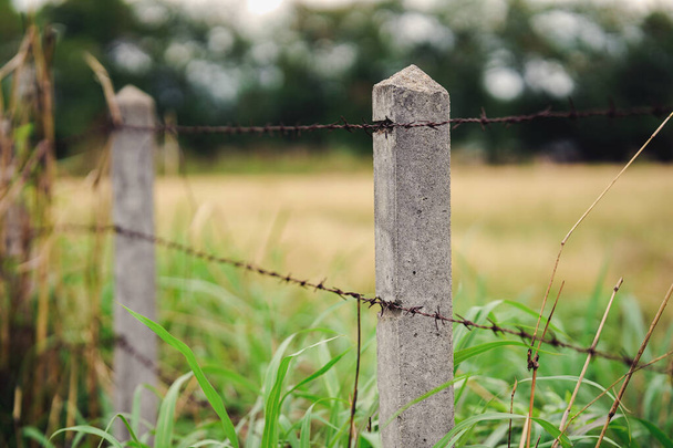 Barbed wire fence and rural lawn or corral for farm animals with bokeh blur nature background. - Photo, Image