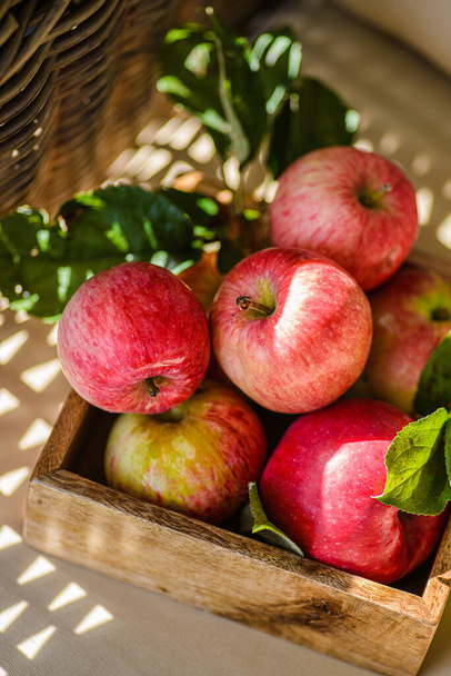 rustic apples from the garden with leaves - Fotoğraf, Görsel