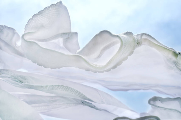 linho limpo branco para secar fora em um dia ensolarado, vista inferior - Foto, Imagem