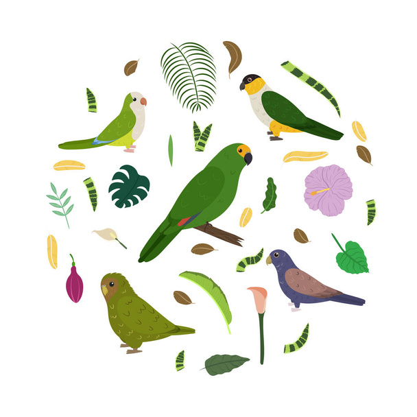 Design sjabloon met papegaaien in cirkel voor kinderprint. Ronde samenstelling van tropische vogels amazone, uil papegaai, broze vleugels, zwart hoofd, monnik parkiet. - Vector, afbeelding