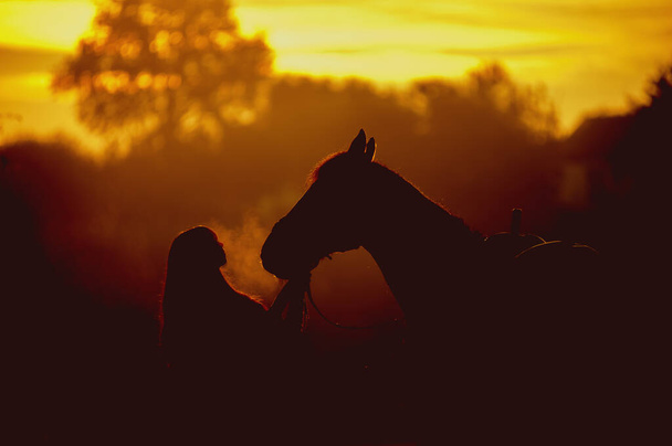Силуэт девушки и лошади на фоне рассвета. Пар лошадиного дыхания. Мужчина целует лошадь - Фото, изображение