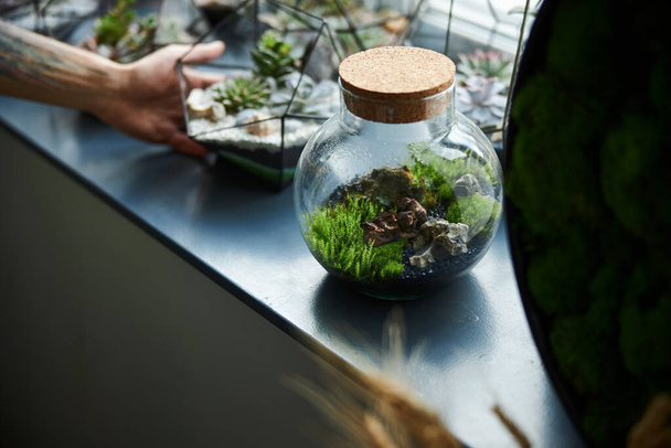 Homme debout près de la table avec terrariums en verre - Photo, image