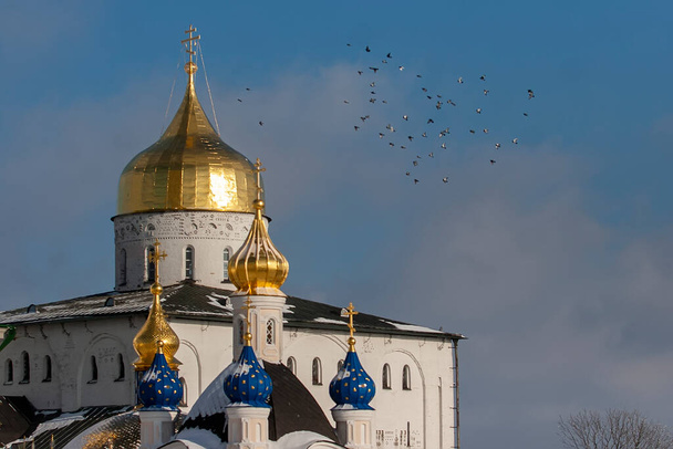 Gouden koepels van de Drie-eenheid kathedraal van de Heilige Dormitie Pochayiv Lavra, Pochayiv, Oekraïne. januari 2009. Hoge kwaliteit foto - Foto, afbeelding