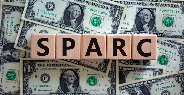 SPARC, special purpose acquisition rights company symbol. Cubes with words 'SPARC' on beautiful dollar background, copy space. Business and SPARC, special purpose acquisition rights company concept. - Фото, изображение