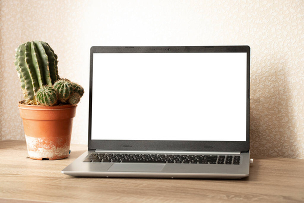 Egy laptop fehér képernyővel az asztalon, egy kaktuszt egy szobában otthon, egy laptop az asztalon, dolgozik egy laptop otthon - Fotó, kép