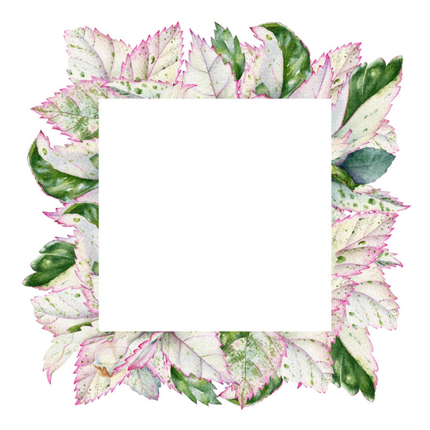 Frame with watercolor tropical plants with multicolor leaves for floral design. - Fotó, kép