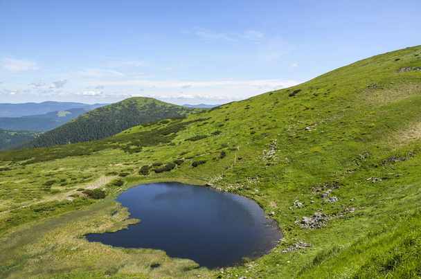 Vue de la hauteur au lac Nesamovyte sous la colline au milieu d'une montagne verdoyante. Paysage des montagnes des Carpates  - Photo, image