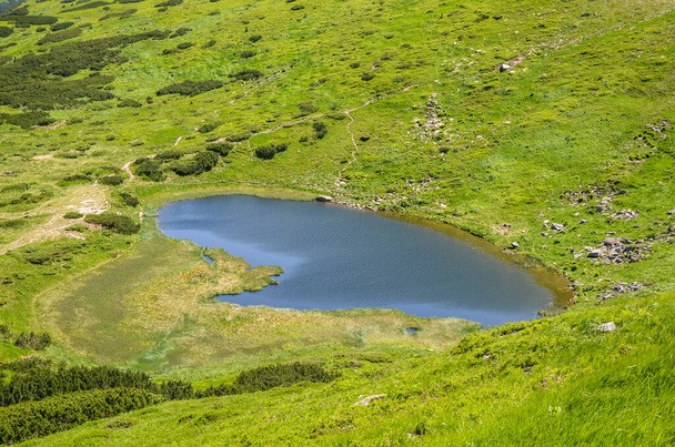 Вид з висоти на озеро Несамовит під пагорбом серед зелених гір. Карпатські гори  - Фото, зображення