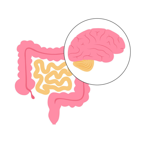 Gut brain connection - Вектор, зображення