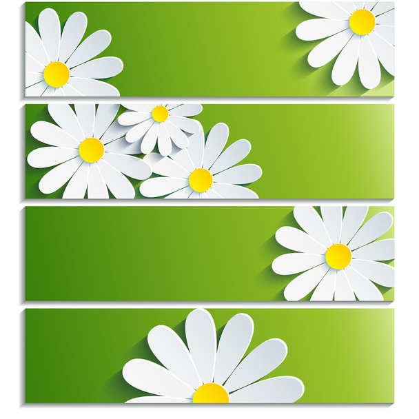 Set of banners with 3d flower chamomile - Vektori, kuva