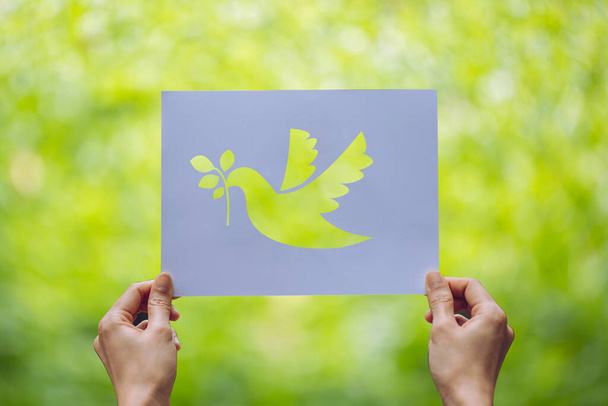 Εμφάνιση χαρτιού κοπής με το λογότυπο του προτύπου περιστεριού της έννοιας της ειρήνης, Παγκόσμια Ημέρα Ειρήνης - Φωτογραφία, εικόνα