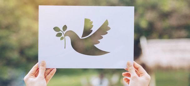 Näytä Leikkaa paperi rauhankonseptin kyyhkysmallin logolla, Kansainvälinen rauhanpäivä - Valokuva, kuva
