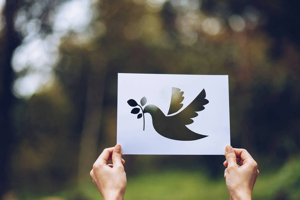 Εμφάνιση χαρτιού κοπής με το λογότυπο του προτύπου περιστεριού της έννοιας της ειρήνης, Παγκόσμια Ημέρα Ειρήνης - Φωτογραφία, εικόνα