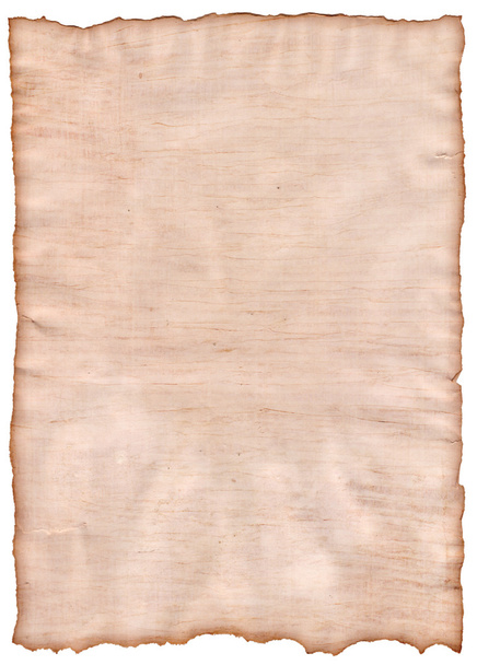 Isolated crumpled ancient paper texture, may use for background - Photo, Image