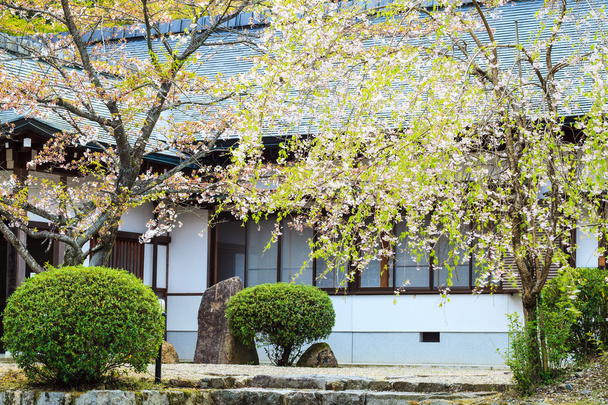 春のシーズンでの素敵なサクラと一緒に山井寺 - 写真・画像