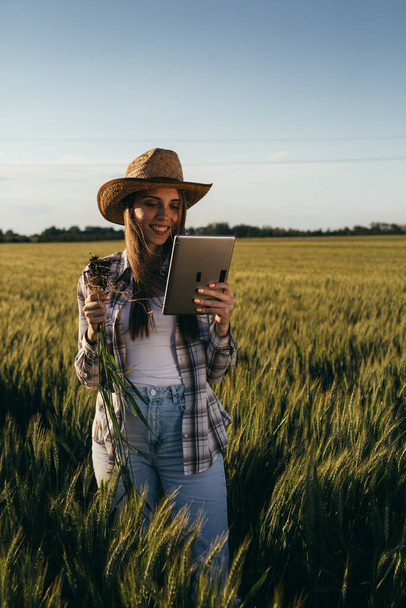 woman examining wheat plant outdoors in field - Foto, imagen