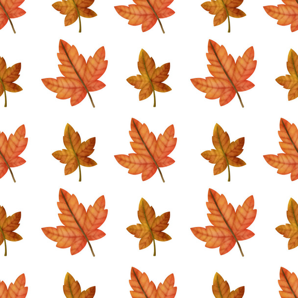 Watercolor Autumn maple seamless patterns - Foto, Imagen