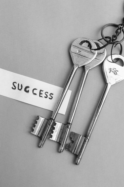 Menestyksen avain. Menestyksen avaimet liiketoiminnassa. Käsitteellinen taustakuva. Asetelma - Valokuva, kuva