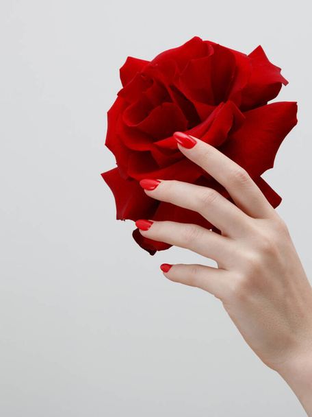 Nő kezet piros manikűr és rose - Fotó, kép