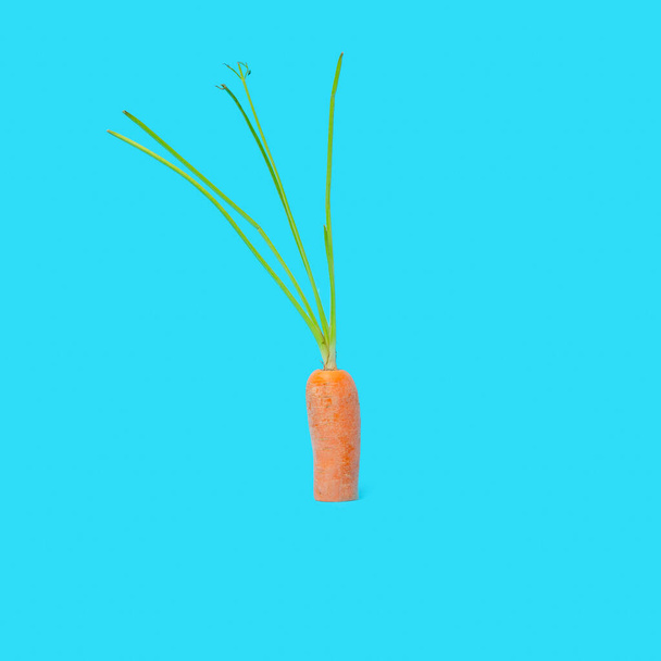 Морковь на синем фоне. Минимальная Пасхальная концепция. Весенний минимальный состав. - Фото, изображение