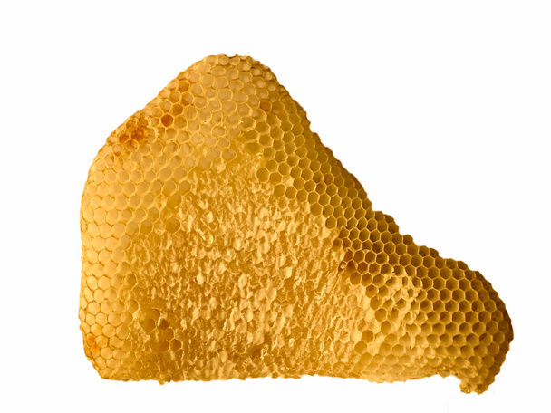 Honingraat met honing geïsoleerd - Foto, afbeelding