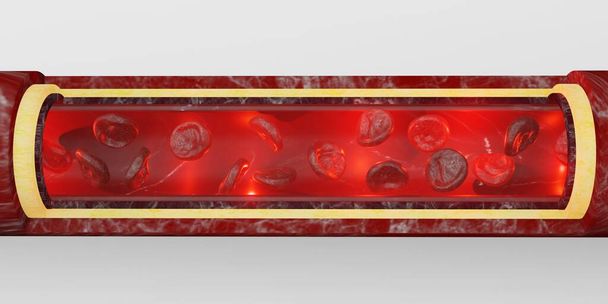 красные кровяные тельца слой кожи вены 3d иллюстрация внутрисосудистой хирургии - Фото, изображение