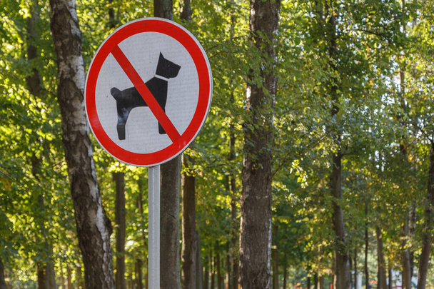 no dogs allowed sign on pole in summer green park forest - close-up with selective focus and background bokeh blur - Foto, Bild